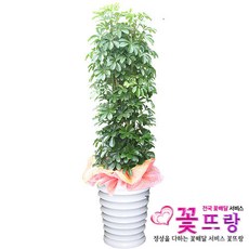 부산도자기만들기