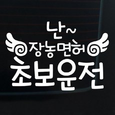 B.타이포, B019 글씨 난 장농면허 초보운전