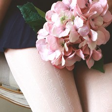 미스뷰티라인스타킹