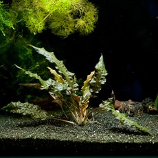 e2020ff6-60b3-4b67-b819-57cec671cf32.jpg