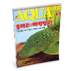 코엑스아쿠아리움오후권