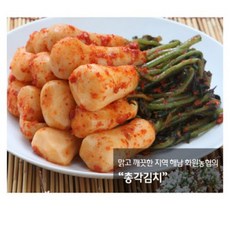 토종원/이맑은김치 총각김치 3kg/전라남도 해남 화원농협, 3kg, 1개
