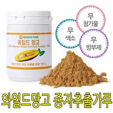 광명식품 와일드망고 종자분말 200g 기타 다이어트식품, 100g, 2, 2개