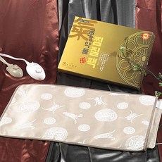 금강약돌 찜질팩 DS-3862 (전기찜질팩 찜질기) 1
