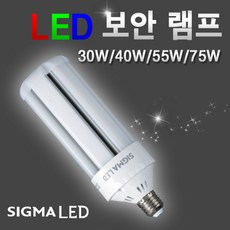 시그마램프 LED빔볼구/8W/12W/16W/전구/램프, LED 전구, [선택 05-03] LED 보안램프 55W(전구색), 1개