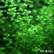 6e2972e4-9b60-49c4-85ce-ff3e8e0cff6e.jpg