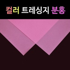 컨셉트레싱지
