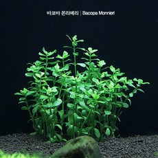 18eb87db-a011-4e98-a58b-0bdb4f2f99ae.jpg