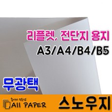 아트지스노우지