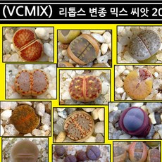 f3d7b992-58b8-4938-98b6-dfddbaecb7e2.jpg
