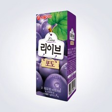 라이브커머스과정