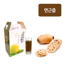 신선약초 국산 연근즙 110mlx62포