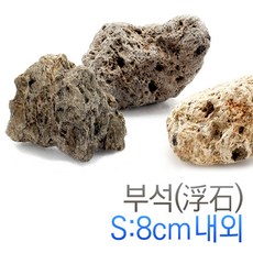 257e7f5d-3e24-4ba6-bf99-8db3b5f273b0.jpg
