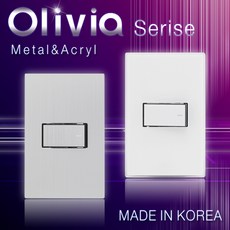 스위치대여