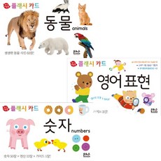 도앙플래시카드