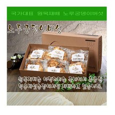 류충현약용버섯 원목재배 노루궁뎅이버섯 300g, 1개