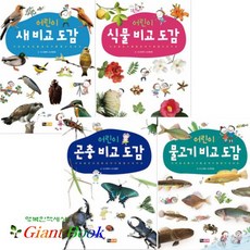 어린이 자연 비교 도감 시리즈 [전4권] : 새/물고기/식물/곤충