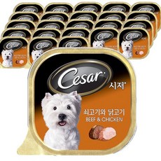 mars 시저 애견 간식 캔 x 24개, 쇠고기와닭고기, 100g