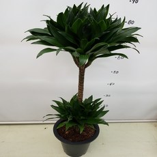 3fc39fac-9160-45ca-92eb-abe9fb658673.jpg