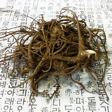 생당귀