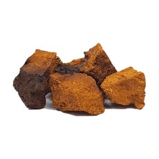 허준오빠 차가버섯, 1kg, 1개