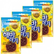 //상품명