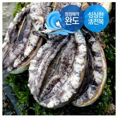 완도365수산