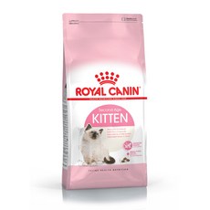 로얄캐닌키튼-추천-상품