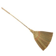 황갈대비