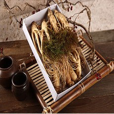 풍기농부 풍기인삼.풍기농부5년근 수삼중 1채 750g 10~12편 인삼/수삼/장뇌삼, 1개