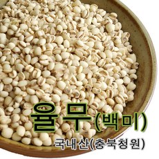 율무(의이인) 500g 국내산 백미, 1개
