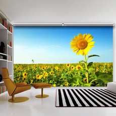 eb54c0bf-820b-4df9-afa6-4ad263ee86c4.jpg