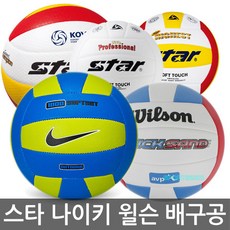 윌슨배구공