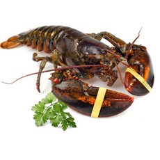 이강크랩 살아있는 활 바다가재 랍스타 500g~1.2kg, 700g, 1개