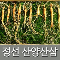 정선아리아리원