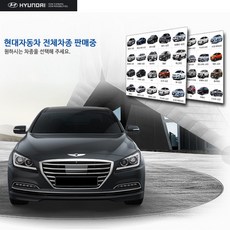 //상품명