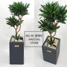 ae255735-01cd-4e61-b4de-3c72d83181f3.jpg