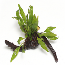 b3d3d8eb-e73a-4c41-952b-09b5d40a5515.png