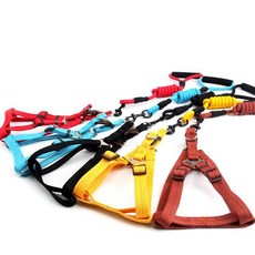 오르시떼버블스타