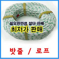 dff42711-493b-42e5-a288-fe216f7e4f3d.jpg