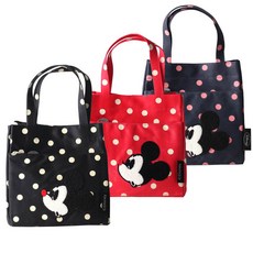 디즈니비치가방