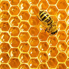 콜라겐비누베이스