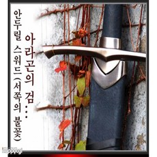 아라곤의검 TOP01
