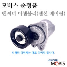 올뉴카니발타이밍벨트