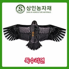 독수리연폴대