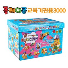 플레이콘3000