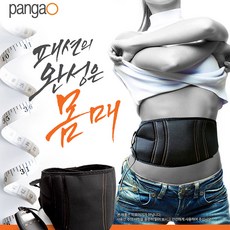 팡가오 다이어트 복부마사지기 PG-2012E 저주파 뱃살