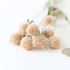 8f207d3e-abf8-4c78-be52-15b0eb03a5fc.jpg