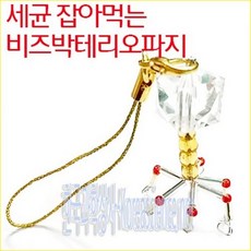 박테리오파지