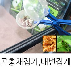 밀웜집게 곤충집게 곤충채집 모래청소 고슴도치귀뚜라미 파충류, 1개
